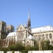 Notre Dame from the Seine