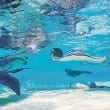 stingray city